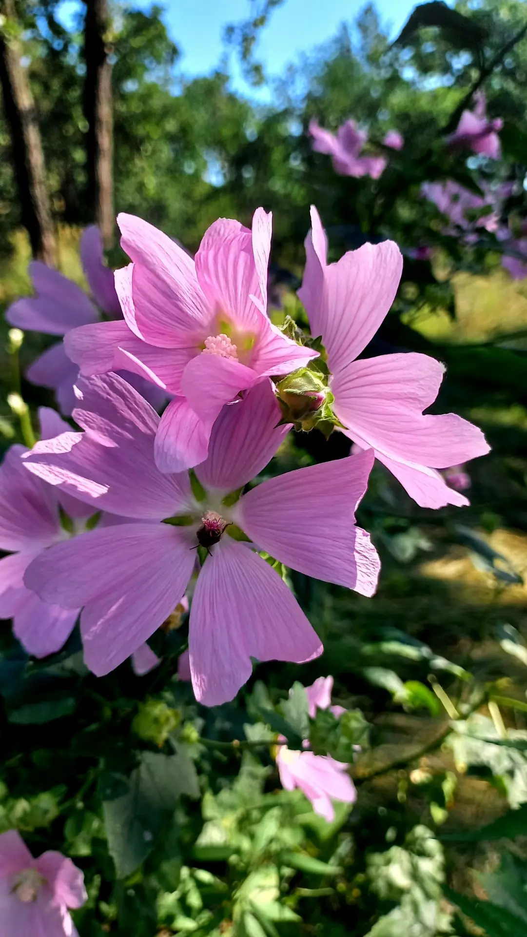 Комфортная среда 🌱☀️