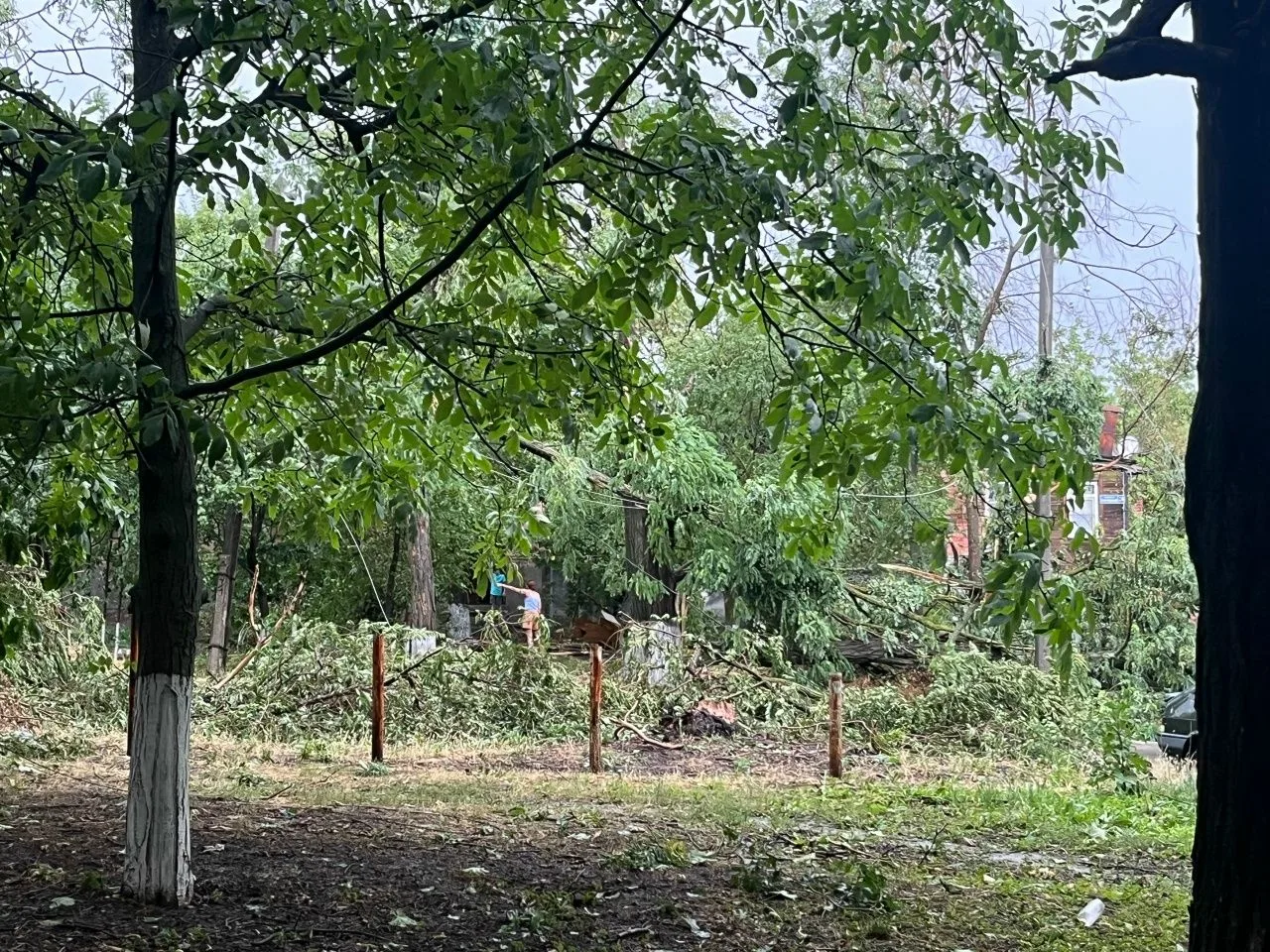 Такого урагана я еще не видел ни разу.
Наконец мне удалось выйти на связь. Позавчера на Ростовскую о