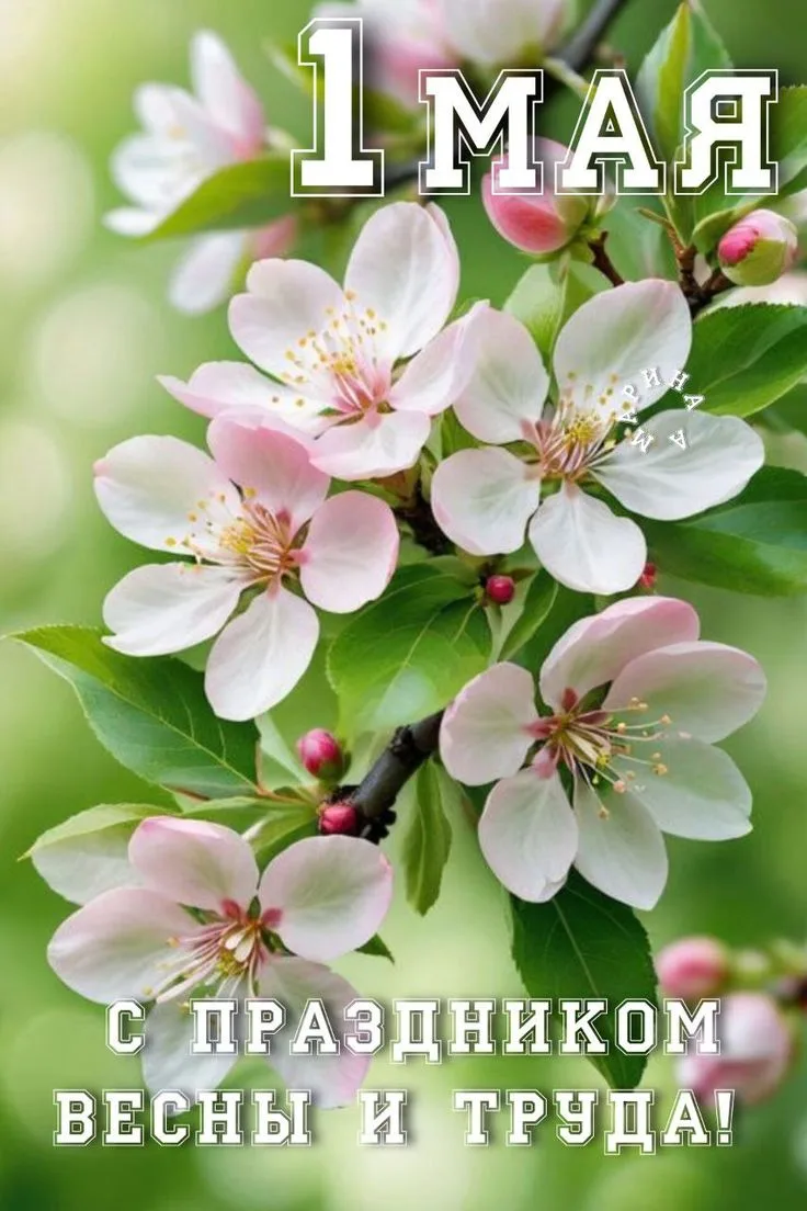 С 1 Мая! 🌸 Мира, тепла и хороших выходных