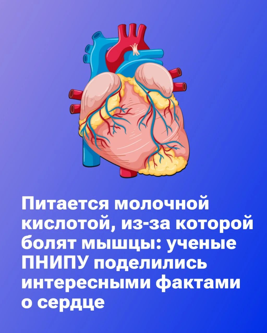 🫀 Вчера, 29 сентября, отмечался Всемирный день сердца.