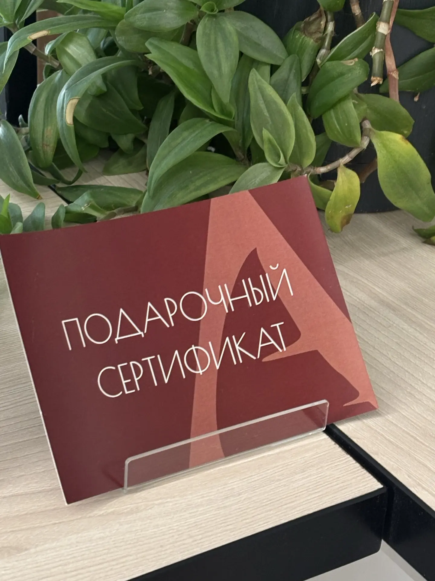 🚀 Календарь забит праздниками - пора разгружать голову!

1 сентября, День учителя, День медика, Нов
