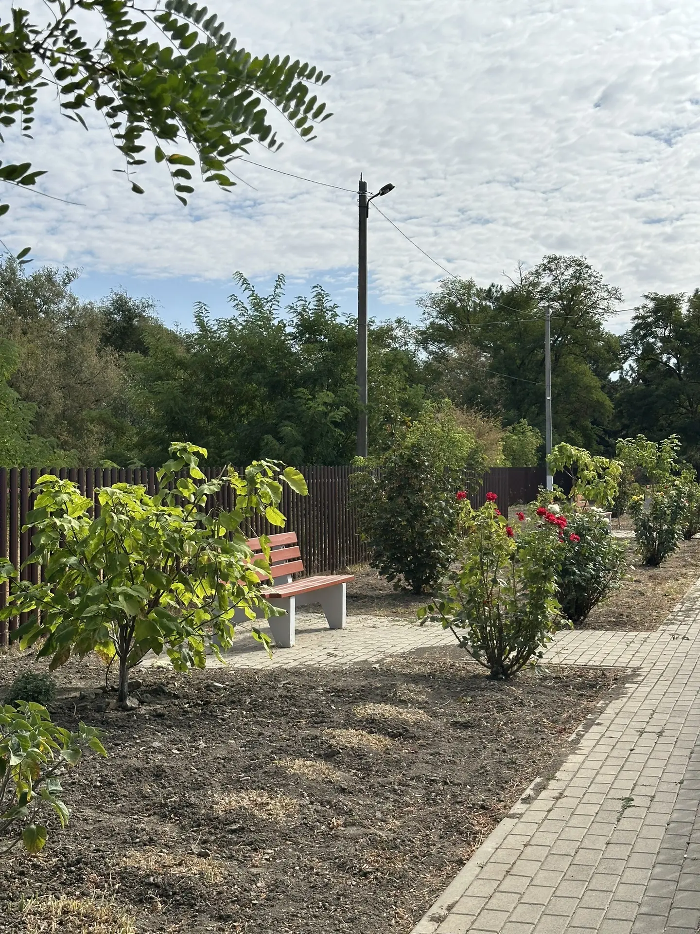 ☘️В селе Плодородное прошёл очередной субботник по благоустройству