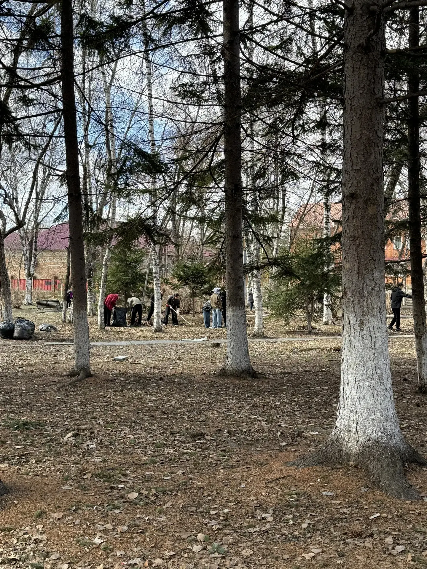 Глава Дальнереченского городского округа Сергей Старков:  🧹 Сделаем наш город чище вместе!  Вместе с
