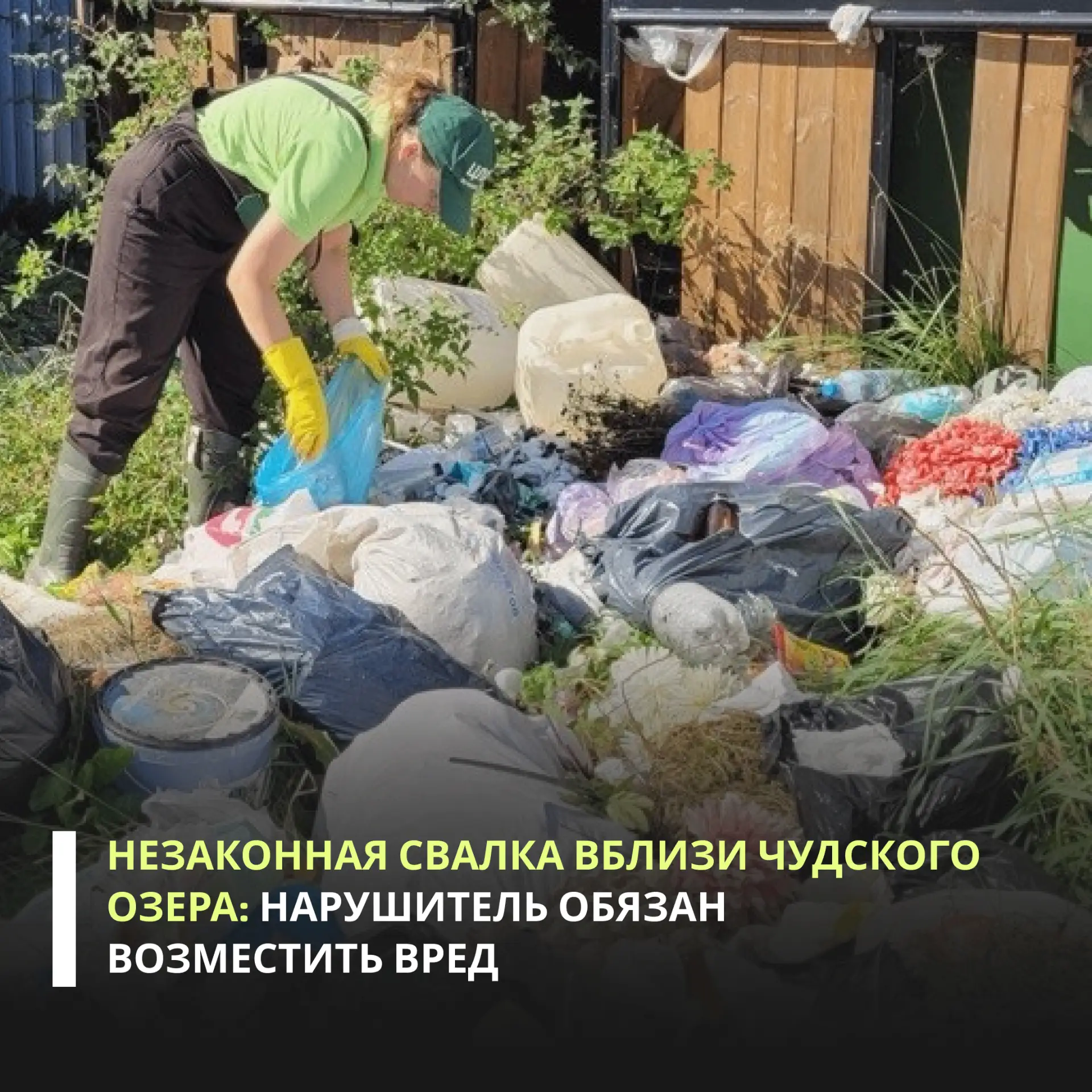Арбитражный суд Псковской области поддержал требования Росприроднадзора о взыскании более 9,5 млн ру