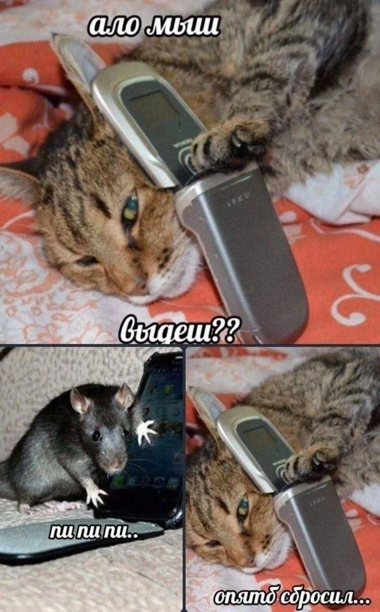 Подпишись на юмор 😂
