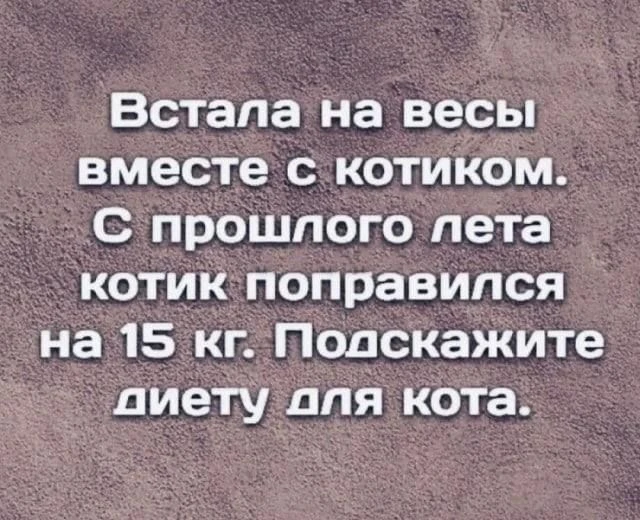 У кого еще такая проблема с котиком? 🤣🤣🤣