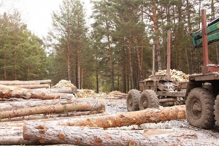 Право аренды лесного участка выставлено на торги за долг по аренде
Право аренды стало единственным и
