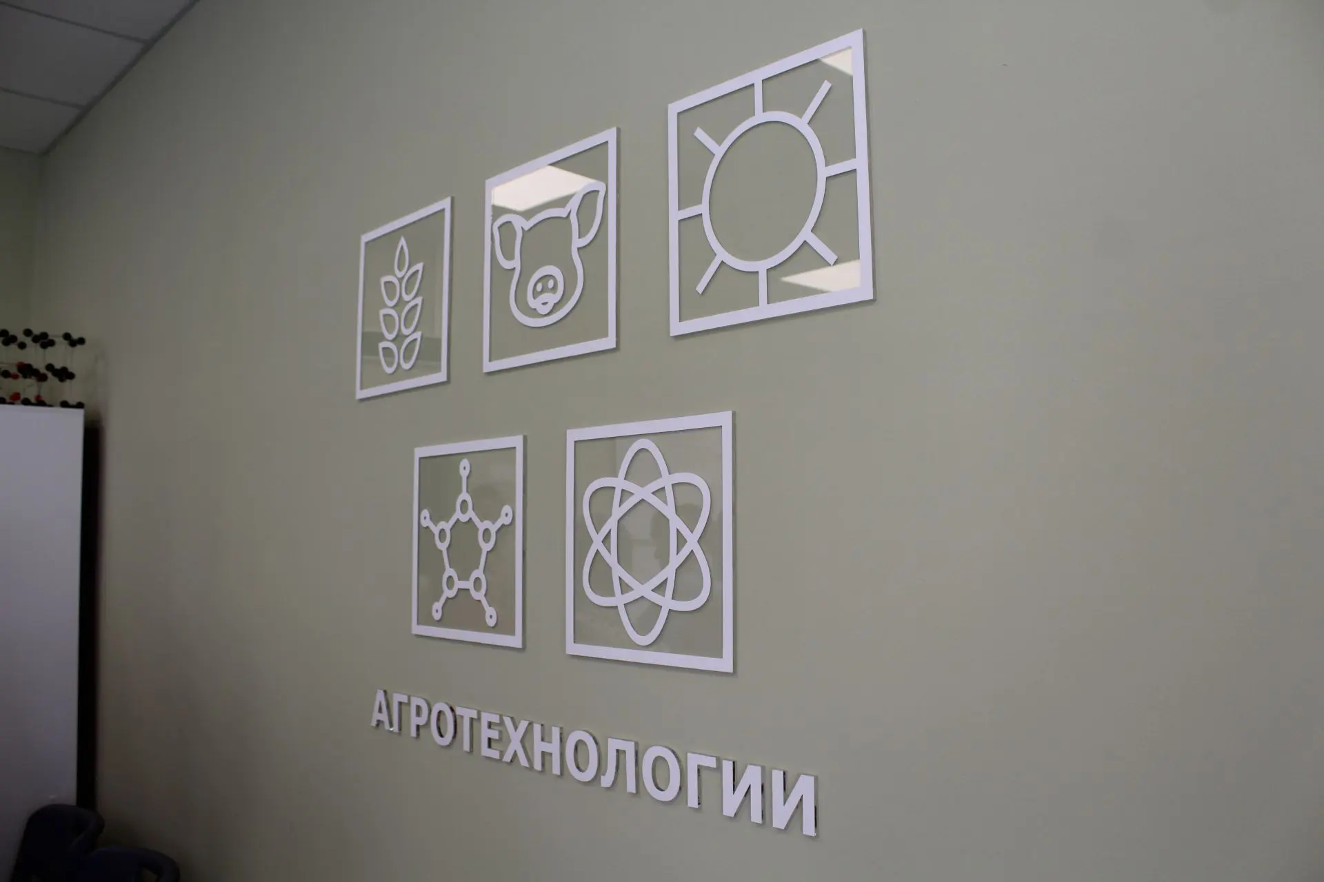 С Днём знаний! Агроклассы «Русагро»: старт нового учебного года
