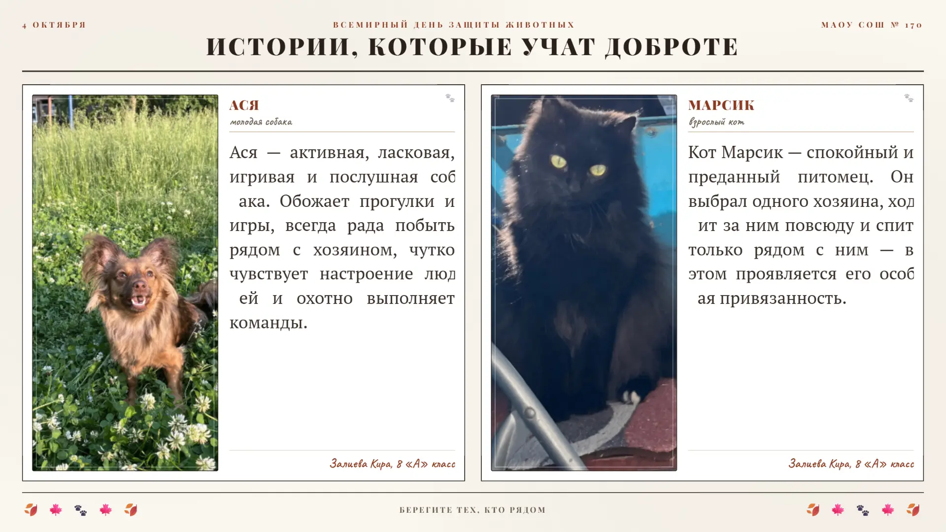 🐾ВСЕМИРНЫЙ ДЕНЬ ЗАЩИТЫ ЖИВОТНЫХ. Часть 3🐾