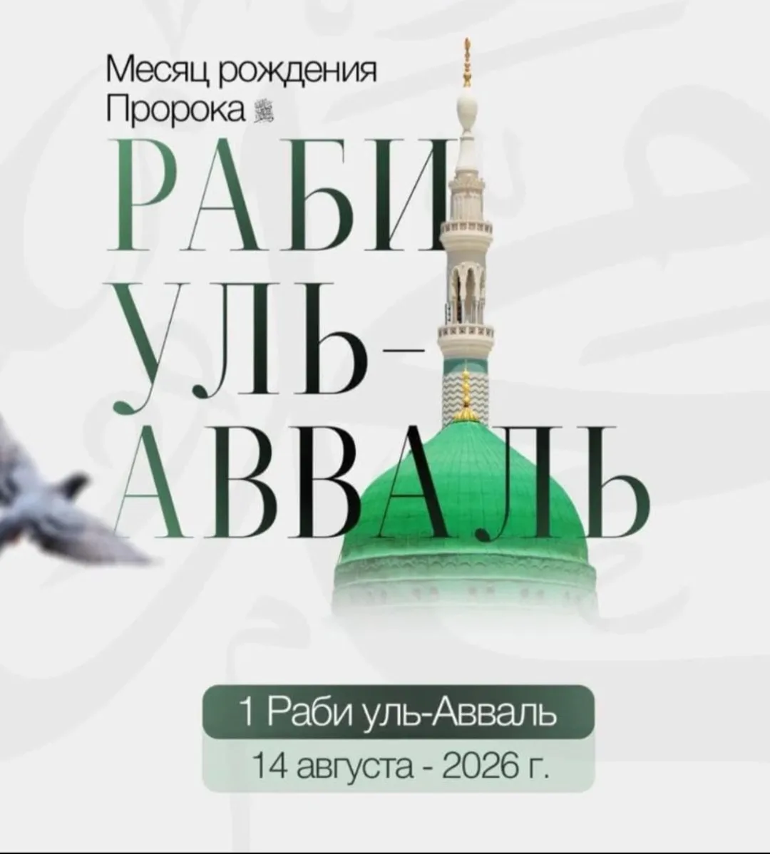 Ас-саламу алейкум, уважаемые братья и сёстры!