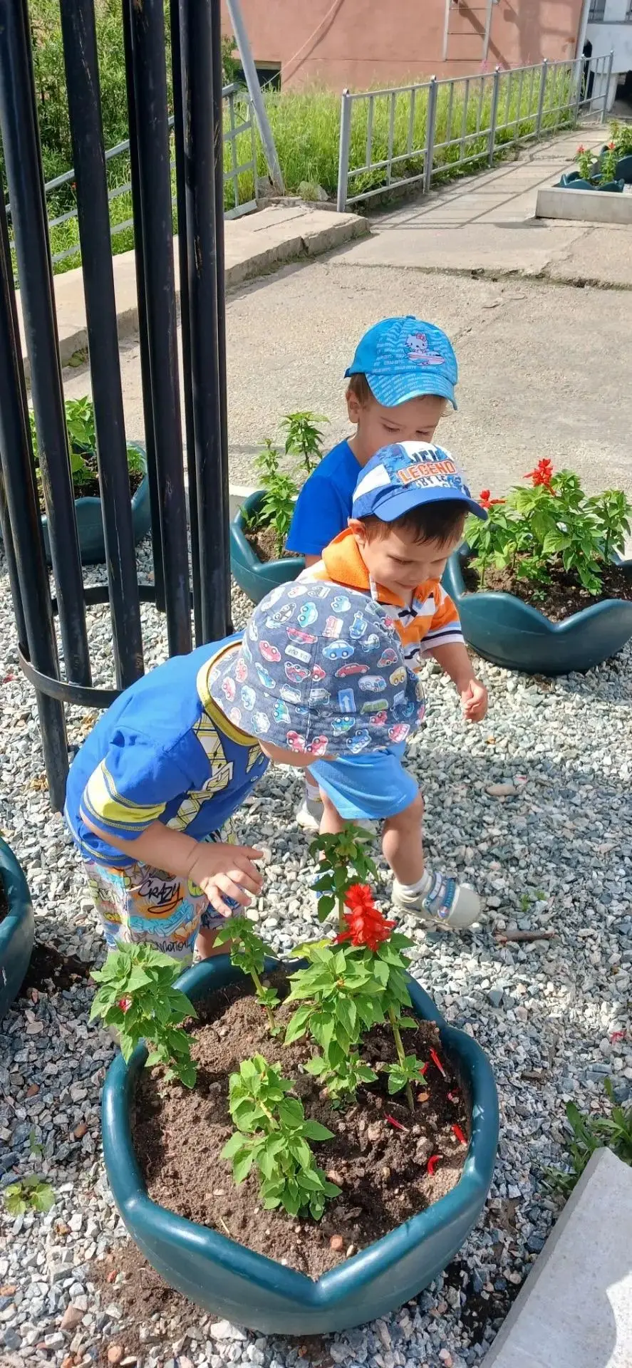 Поход состоялся! 🌿⁣
Воспитатели Тындинского СРЦН вместе с ребятами прошли по экологической тропе. П