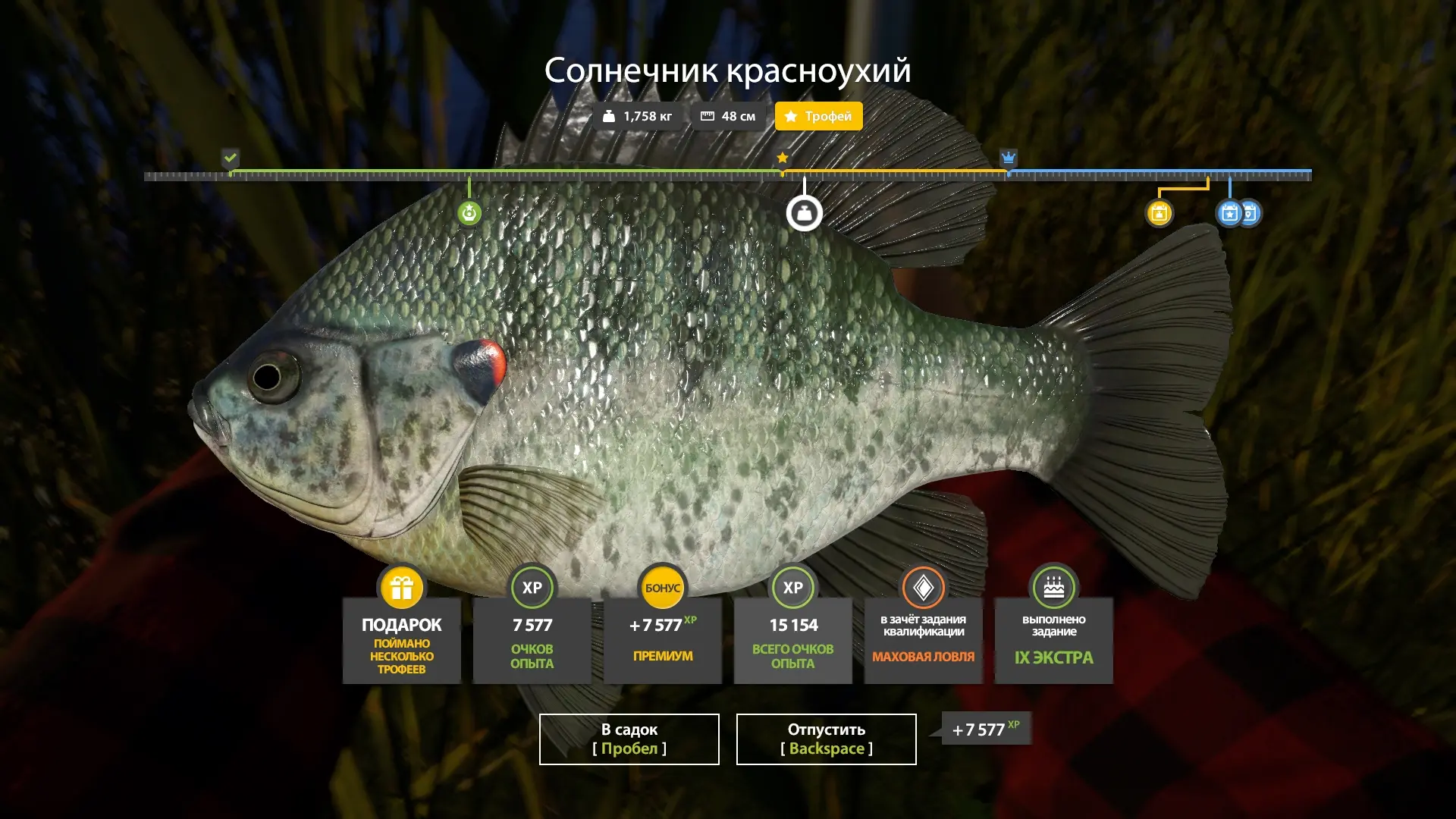 #лосиное@rr4pepper