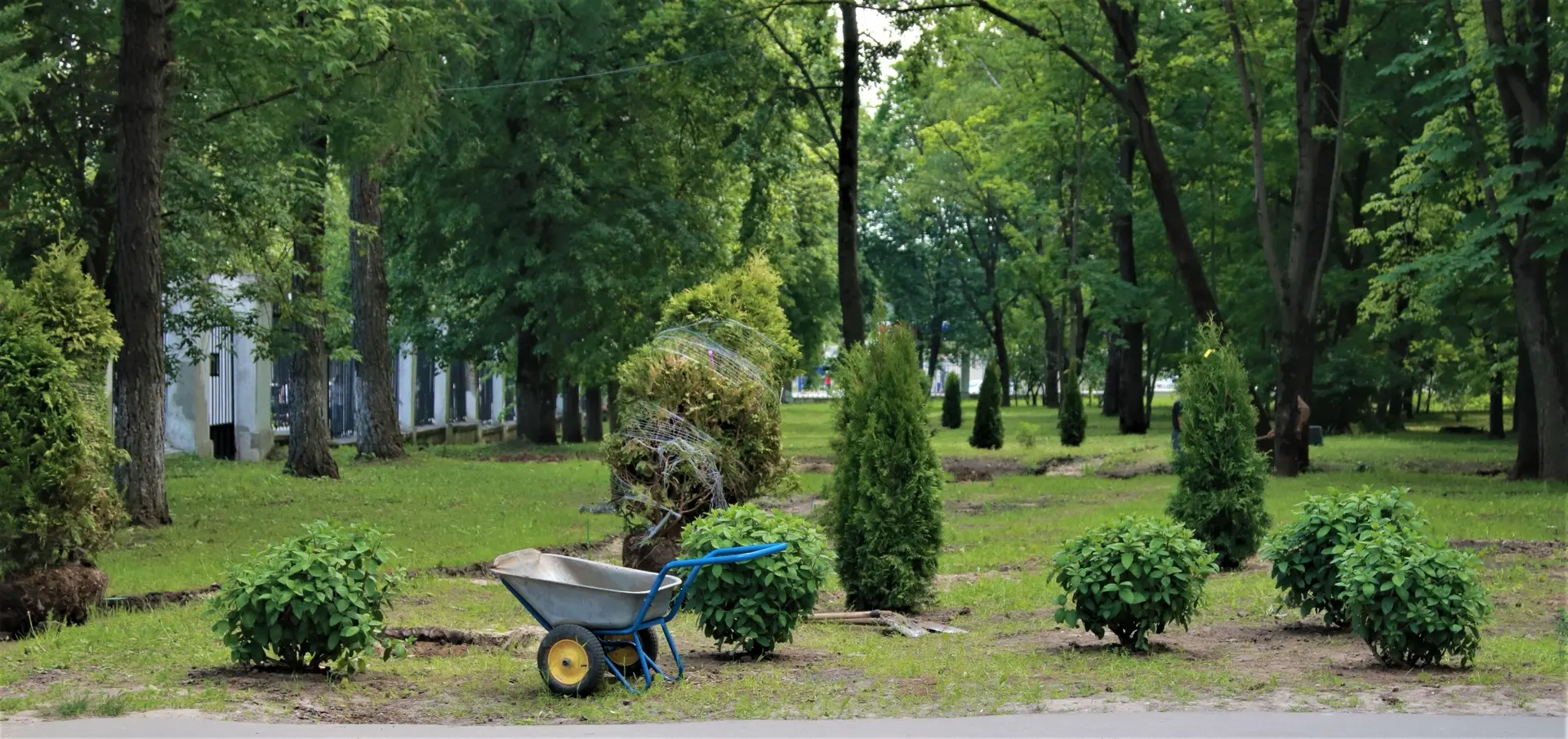 🌳Новые растения для сада ННГУ
 
Год назад на этом месте начали прокладывать теплосети к айти-кампус