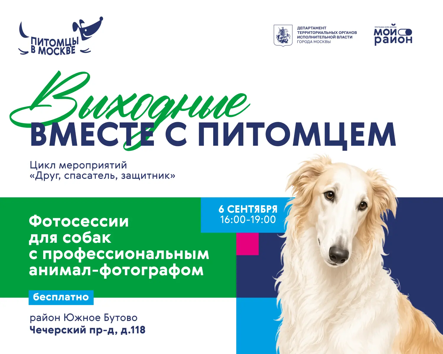 Питомцы в Москве 🐕🌆