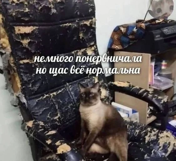 Изображение 1 к публикации «Гороскоп»