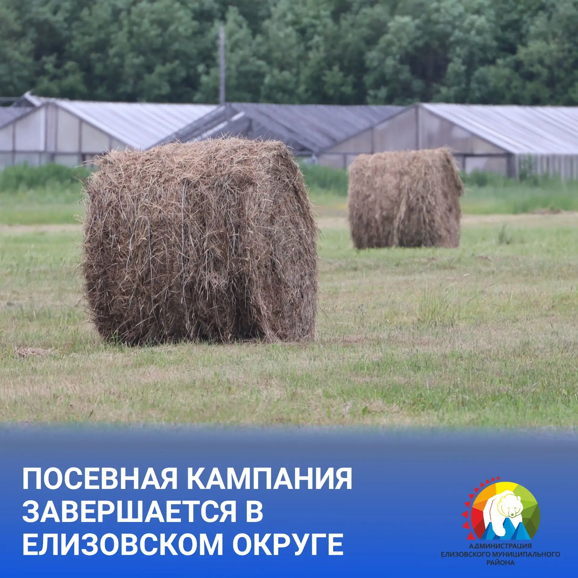 Посевная кампания завершается в Елизовском округе
 
По данным Управления экономического развития, на