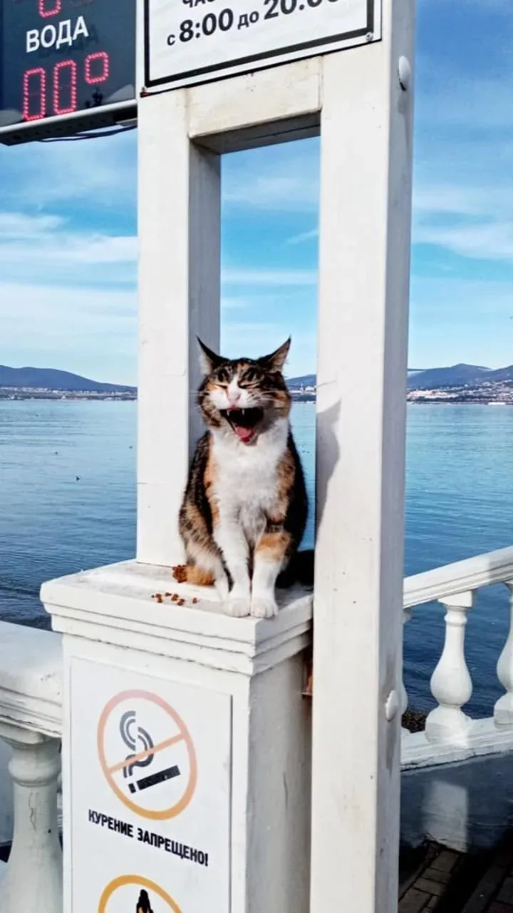 Однако холодает на море в Геленджике 😆