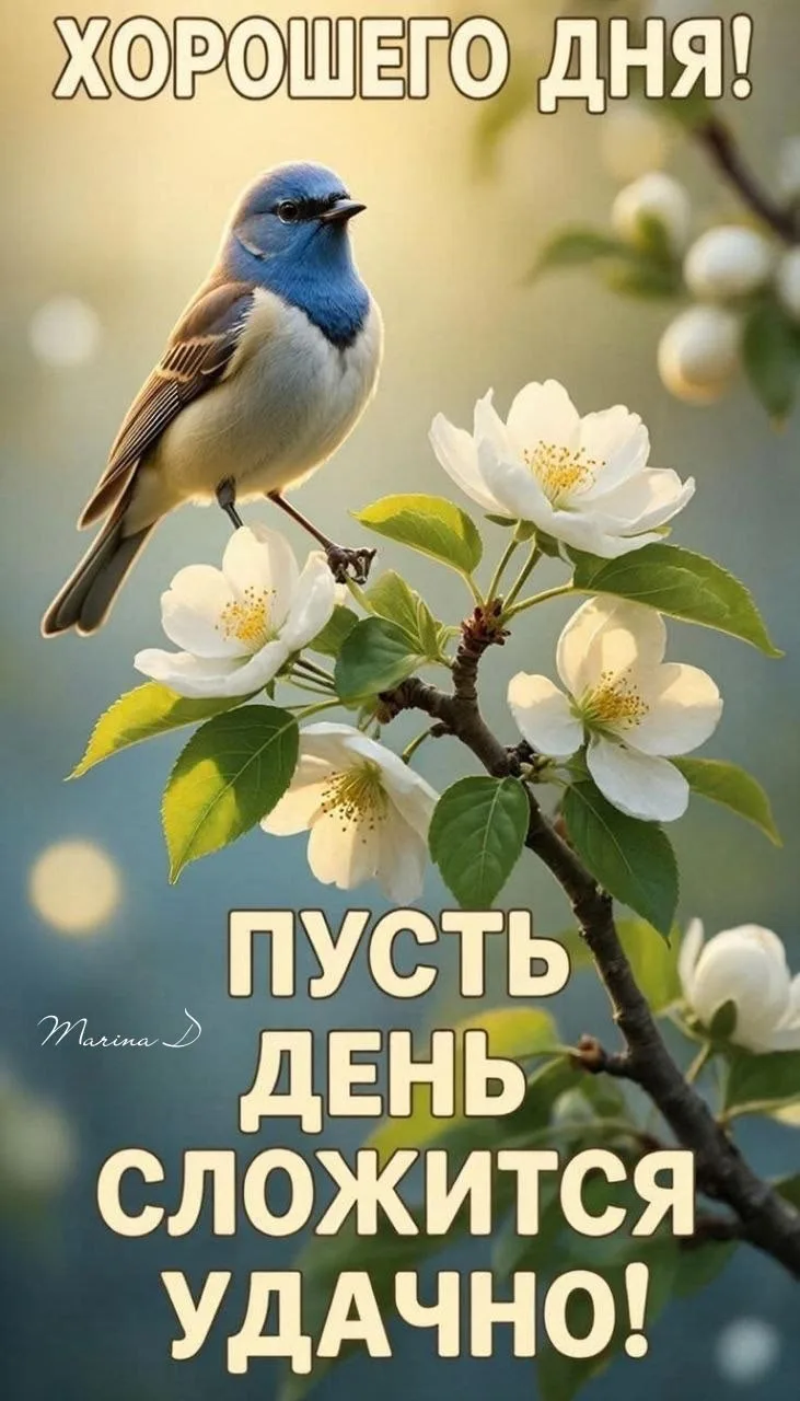 #хорошегодня