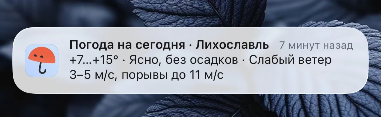 ☀️ Сегодня будет солнечно, дождей не ждем