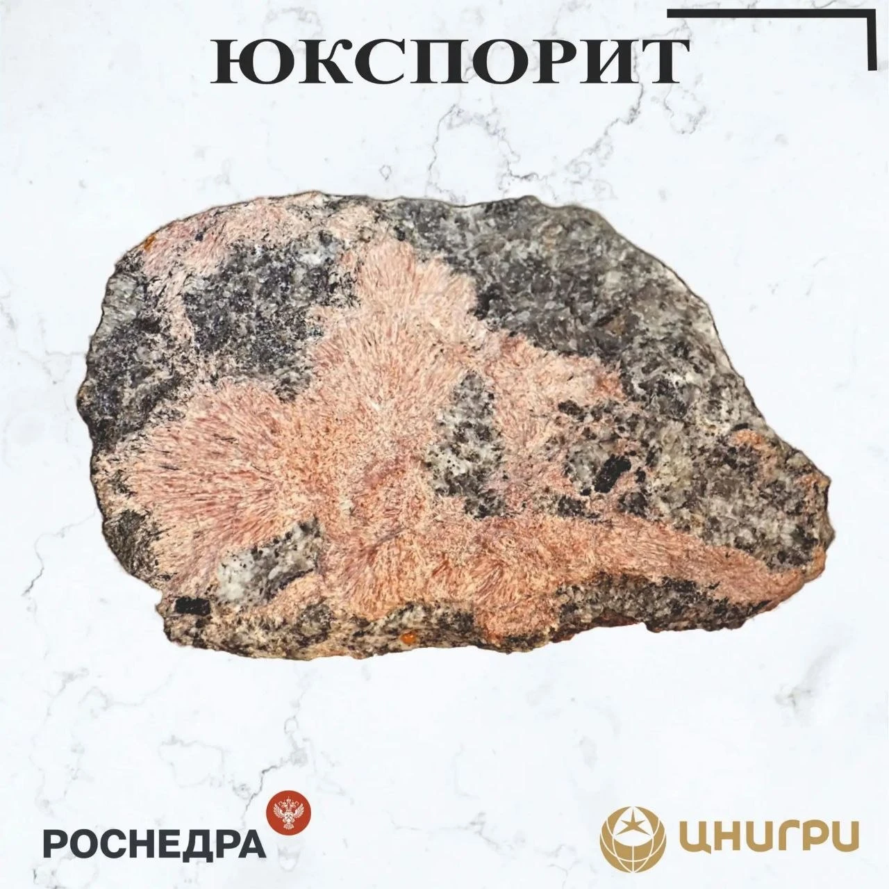 В эту среду ЦНИГРИ ⁉️
