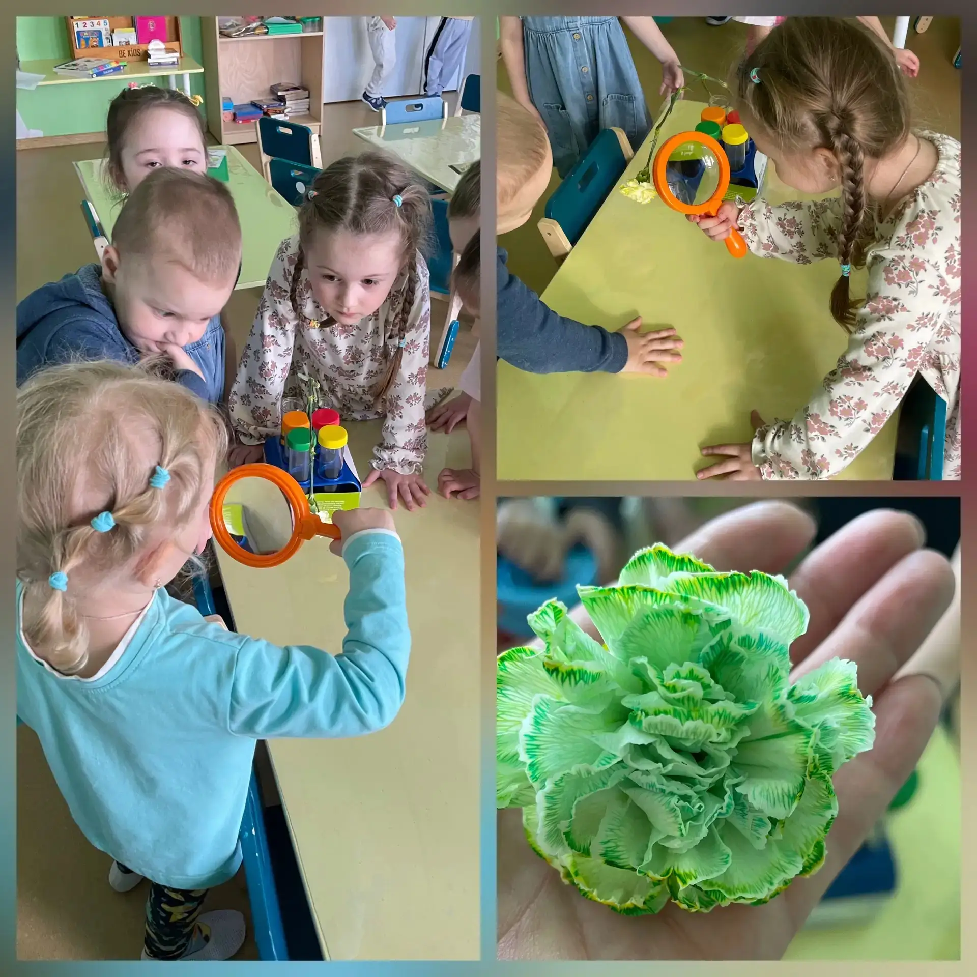 🪻 Весна в «Проспектиках»: мир цветов и насекомых 🦋