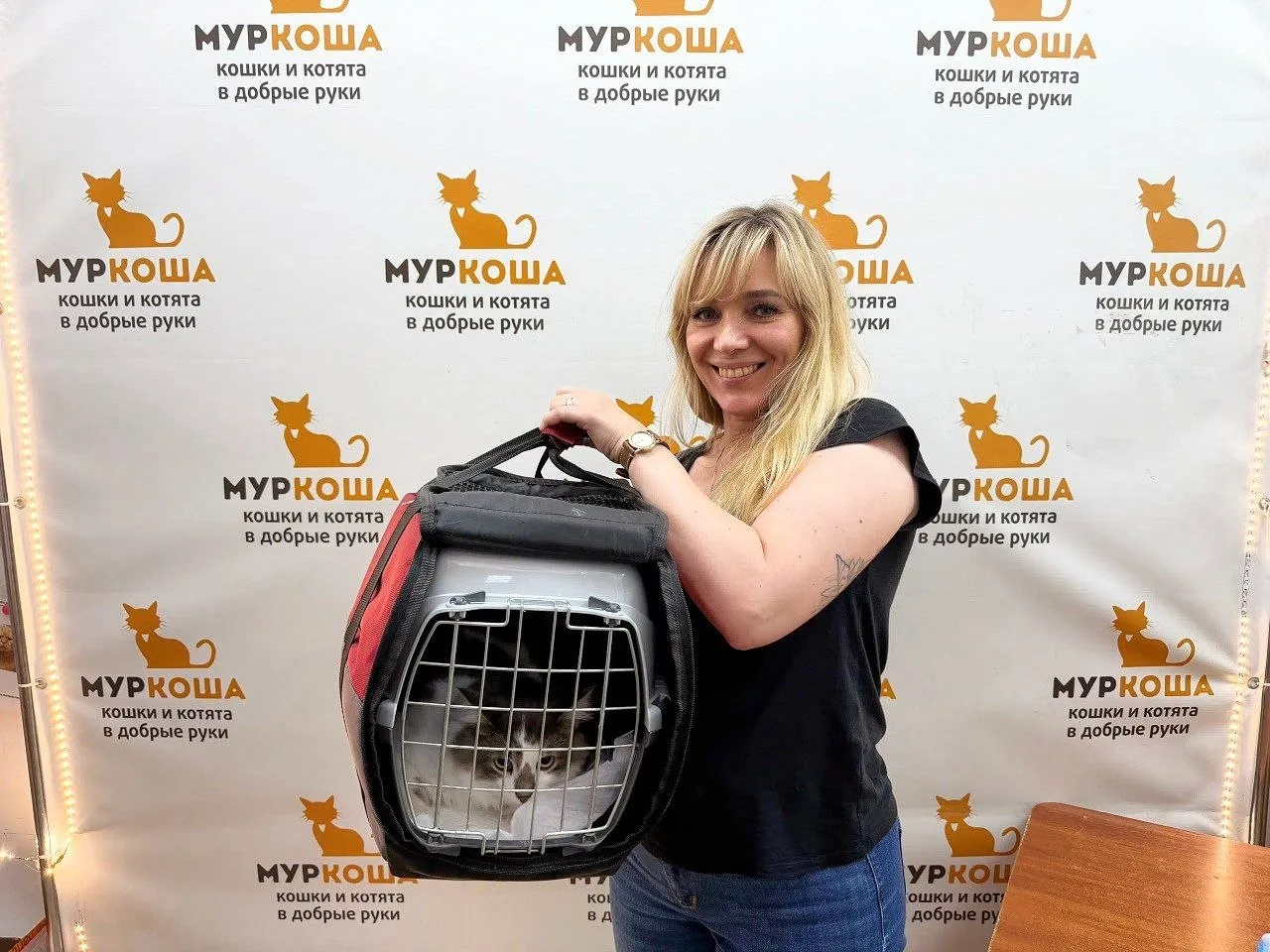 Пушистый зайка Энцо прямо сейчас очаровал свою хозяйку и становится следующим счастливч...