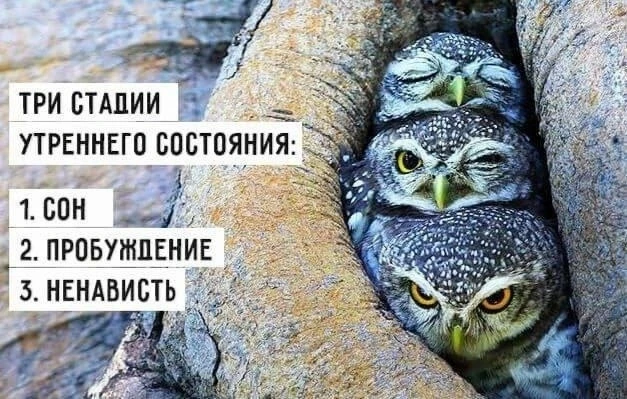 Напоминаю, кофе меня не делает добрее, он просто бодрит.