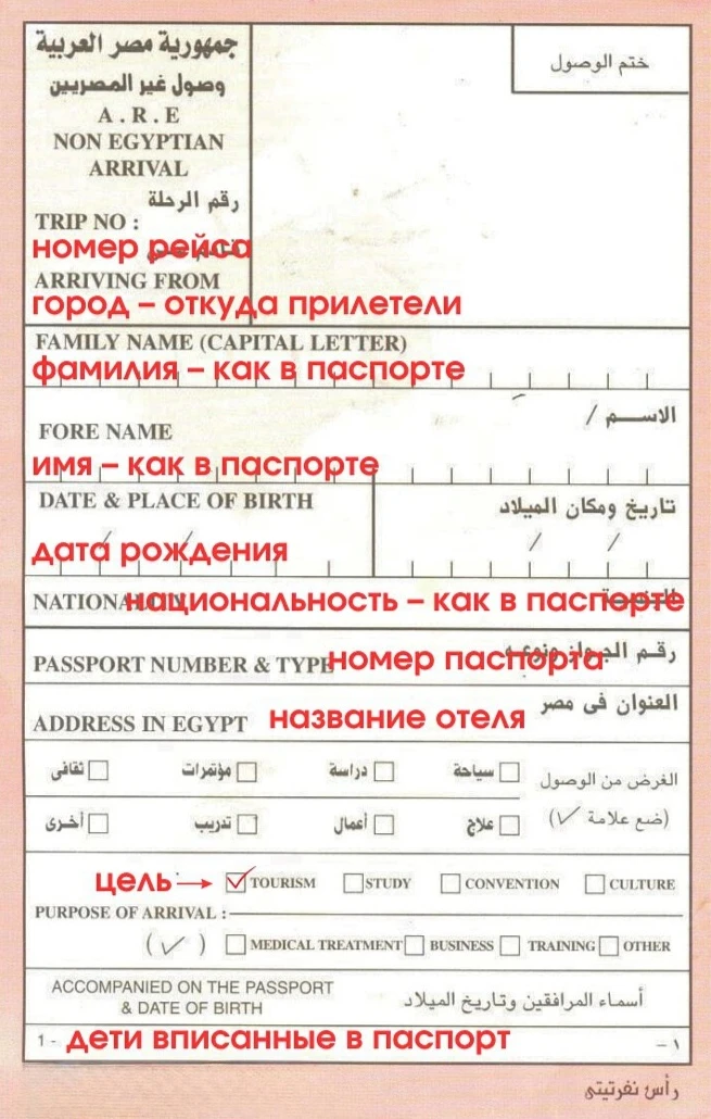 ☝Образец 📌