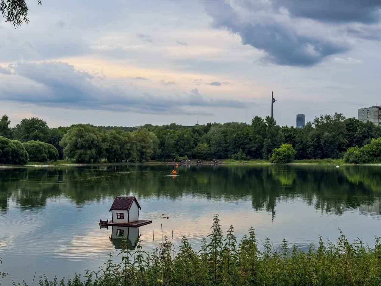 🌿 Прогулка вдоль Мосфильмовского пруда