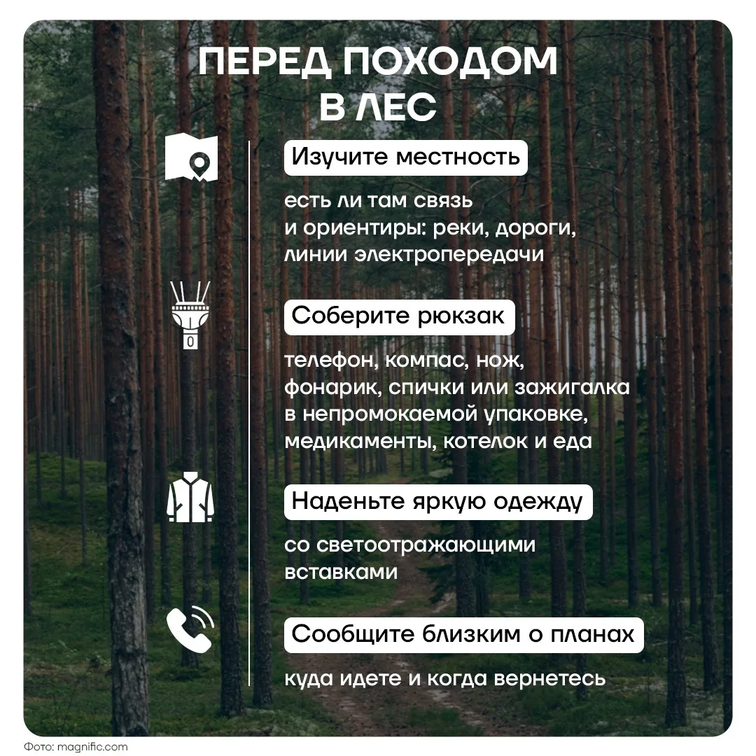 А-а-у! Как не заблудиться в лесу и что делать, если все-таки потерялись 🌲 

Заблудиться в лесу може