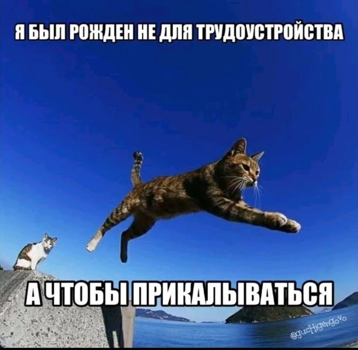 ...не для трудоустройства и тем более не для переработок!