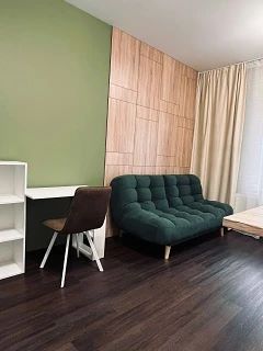 Студия 24,4 м2 в ЖК Панорама Парк Сосновка, ул Манчестерская 3к2.
