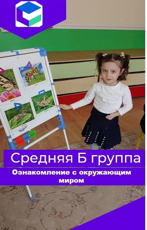 В средней группе Б прошло занятие по ознакомлению с окружающим миром на тему «В гости к хозяйке луга