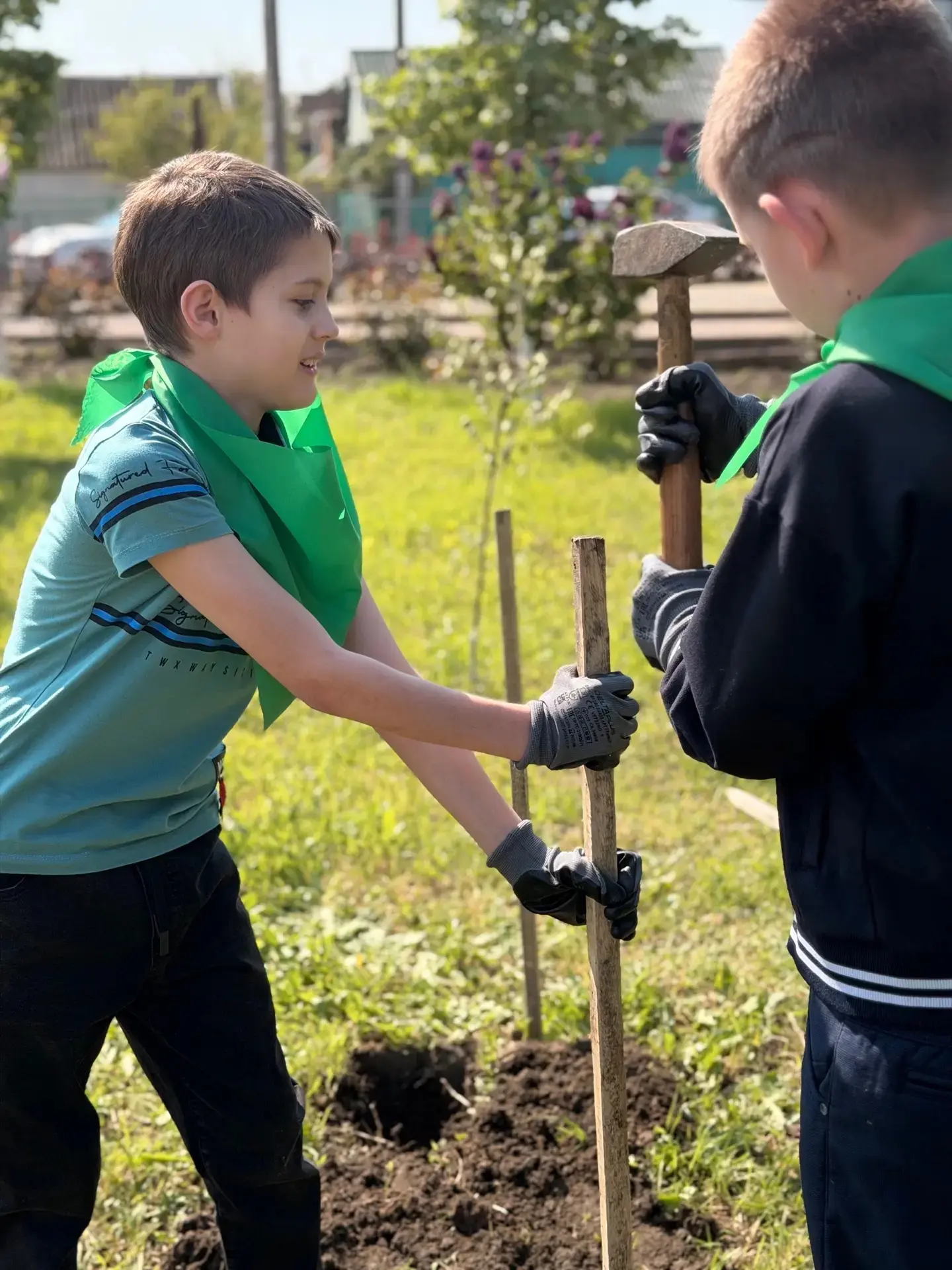 🌳 Дубовая Аллея в память о героях Великой Отечественной войны🌳  3г класс МАОУ СОШ №7 стал частью важ