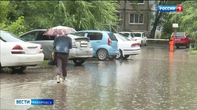 "Ливнёвки" в Хабаровске не успевают чистить из-за нехватки рабочих рук