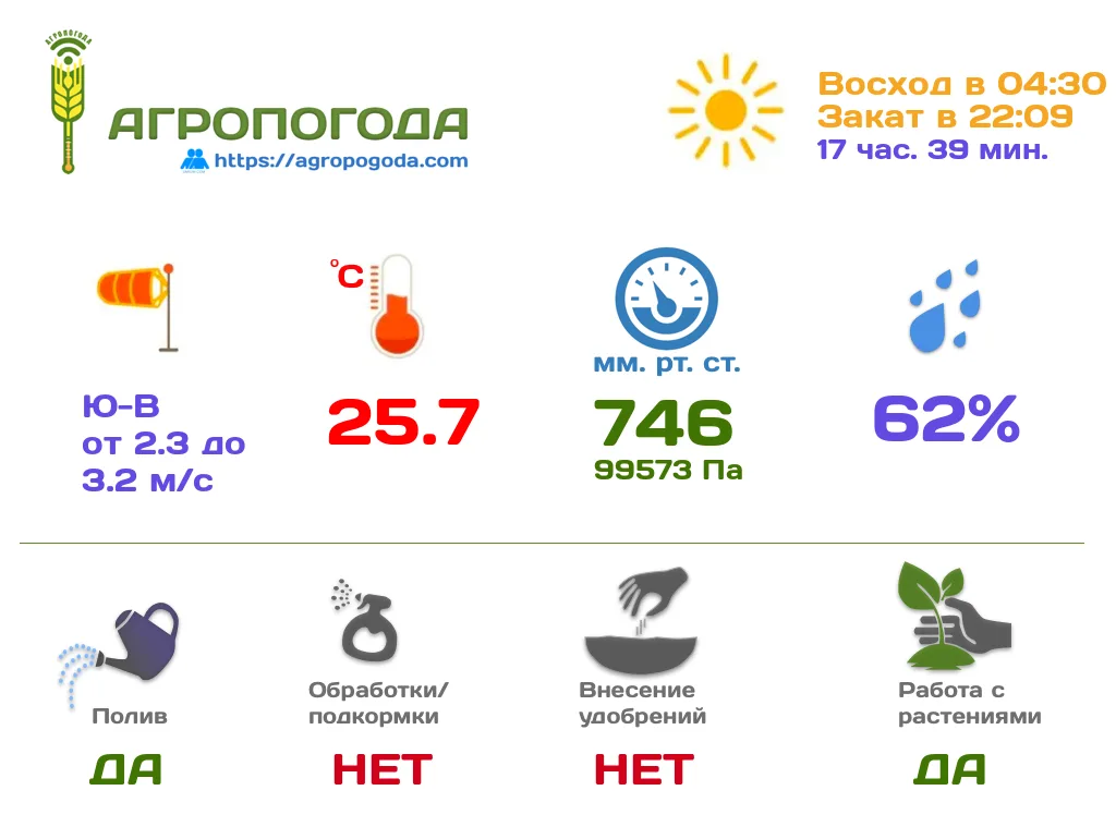 Агрометеорологическая сводка на 11.06.2026 (09:00)