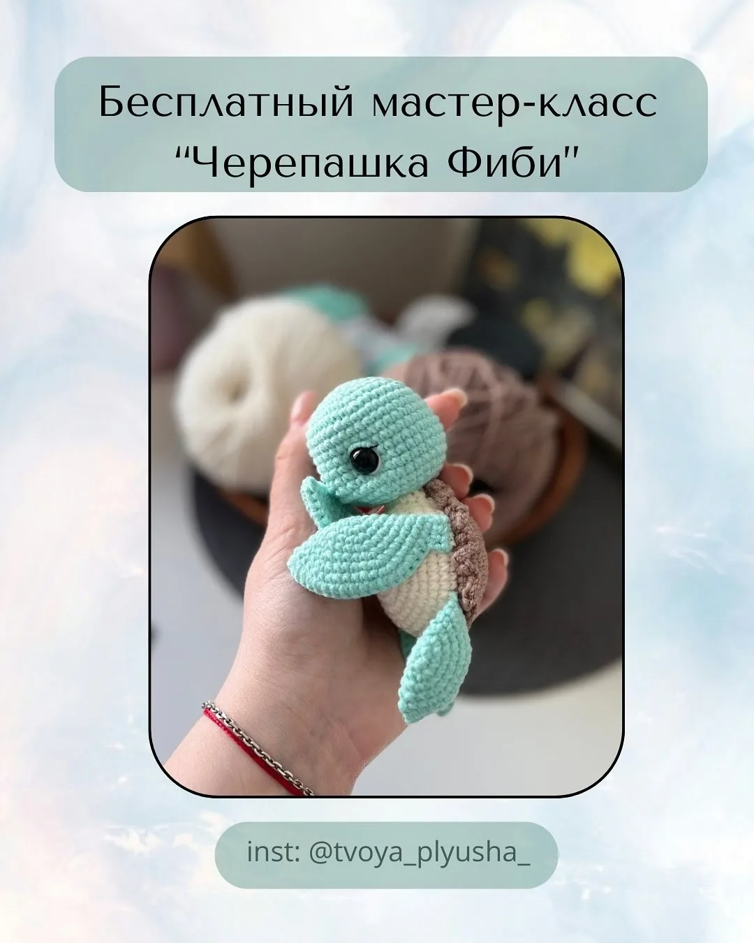 Черепашка Фиби