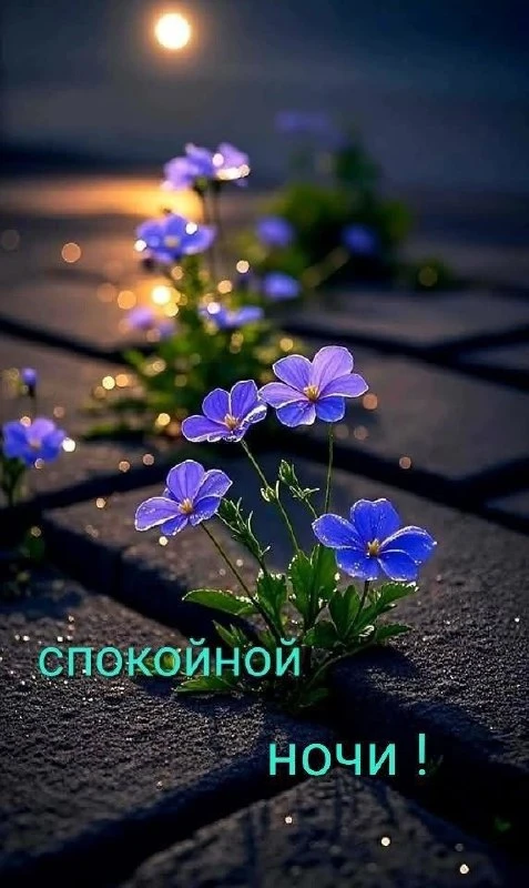 💜🌿🔶💜🌿🔶💜🌿🔶

Желаю тихой и Благословенной ночи, дорогие! Пусть Ангел Хранитель оберегает твой