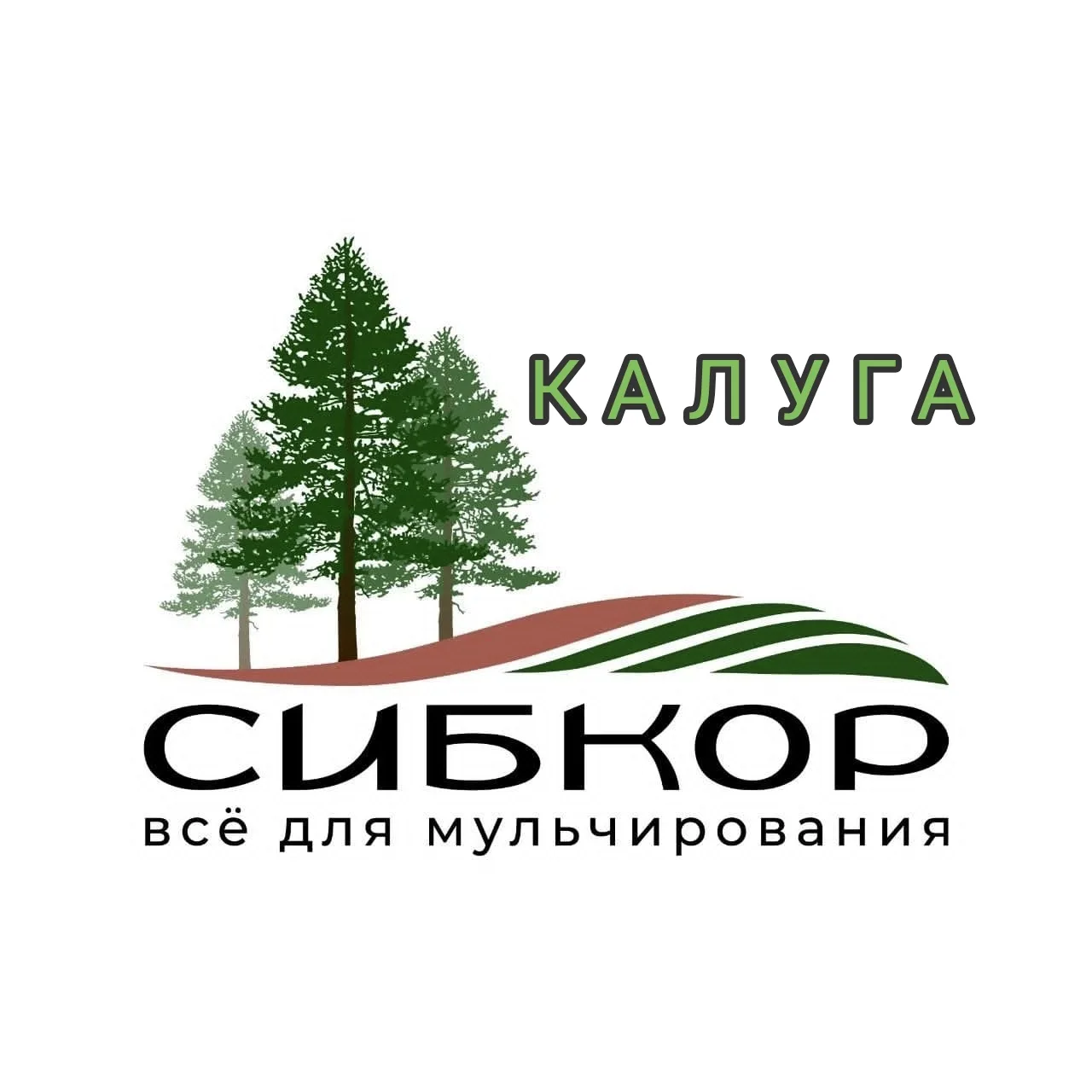 Сибкор в КАЛУГЕ🌲
