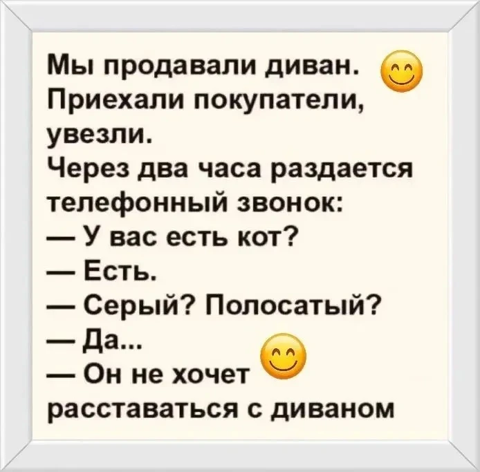 Любимый диван 😁