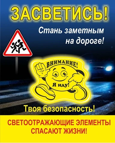 ‼Безопасность на дороге‼