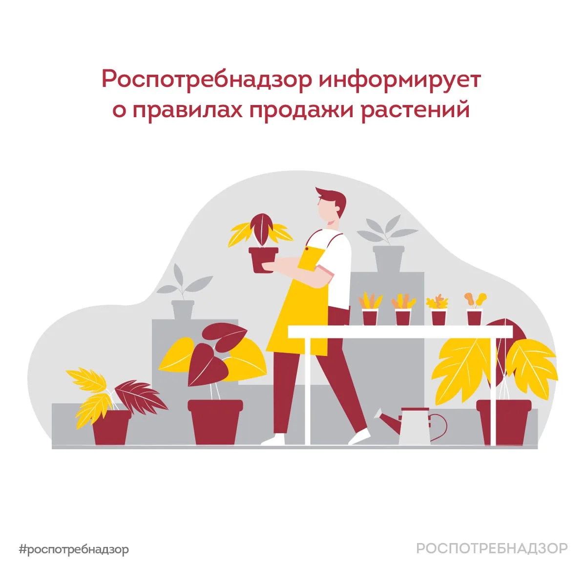 Правила продажи растений

🌳 С началом дачного сезона становится актуальной покупка растений для сад