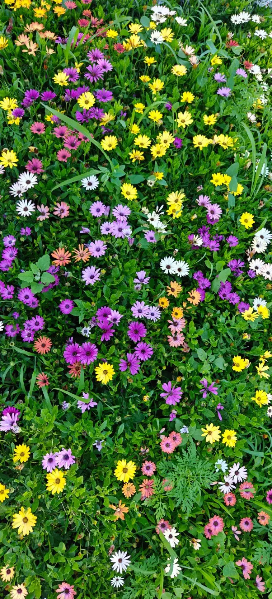 Доброе утро!🌷