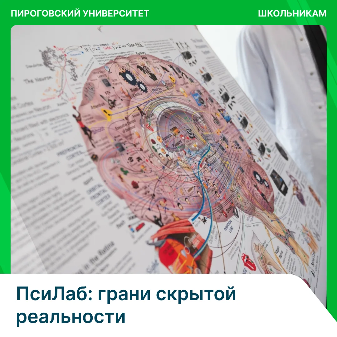 Как работает мышление: школьников приглашают принять участие в проекте «Университетская...