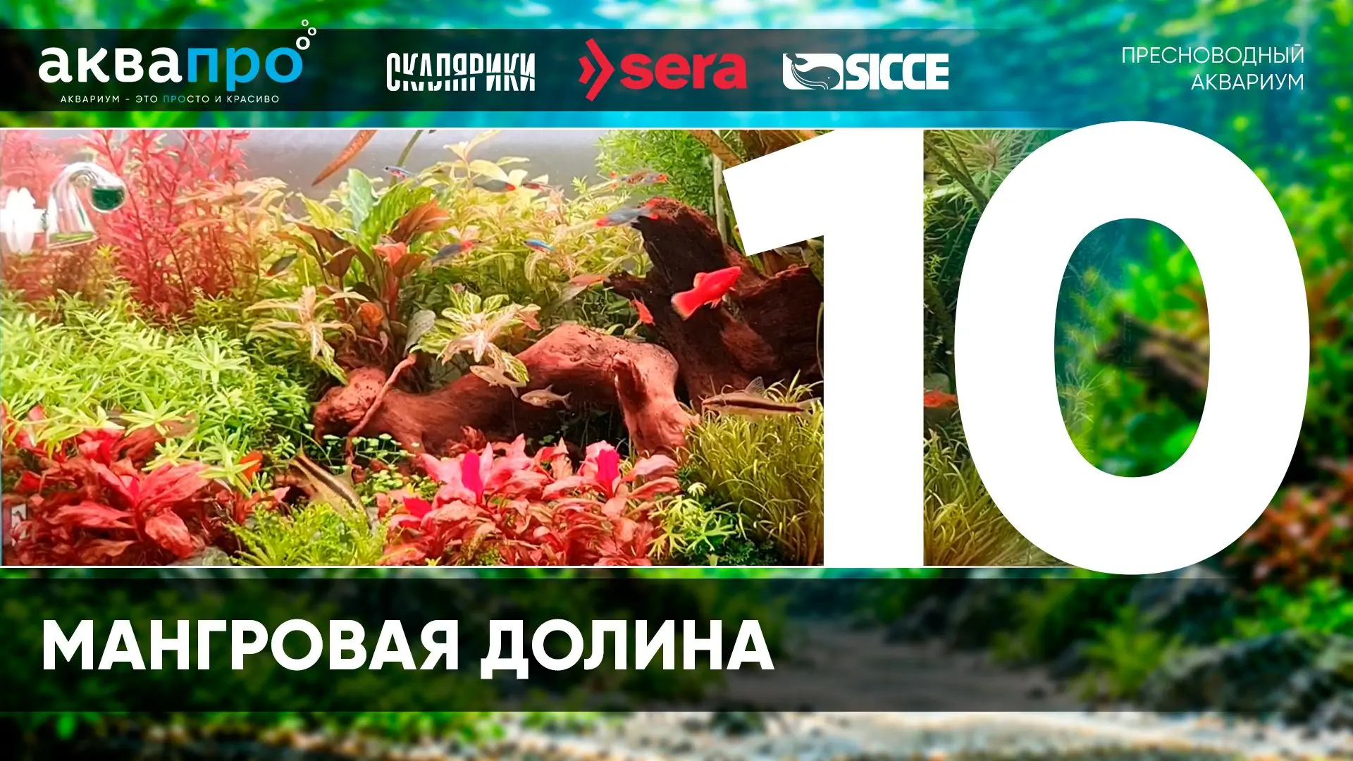 Фамилия Имя Отчество: Кочергин Сергей Иванович