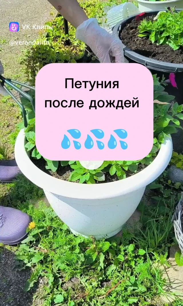 У нас затяжные дожди 💦