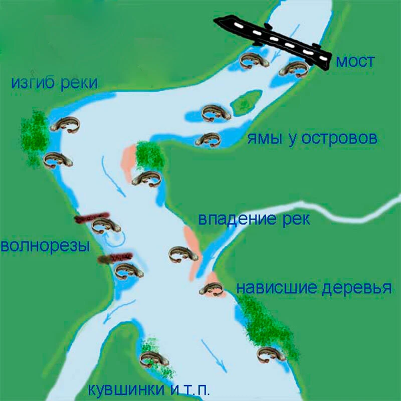 ГДЕ ИСКАТЬ ЩУКУ ЛЕТОМ? 🐟
⠀ 
Прежде чем начинать искать перспективные места для ловли щуки (на реке)