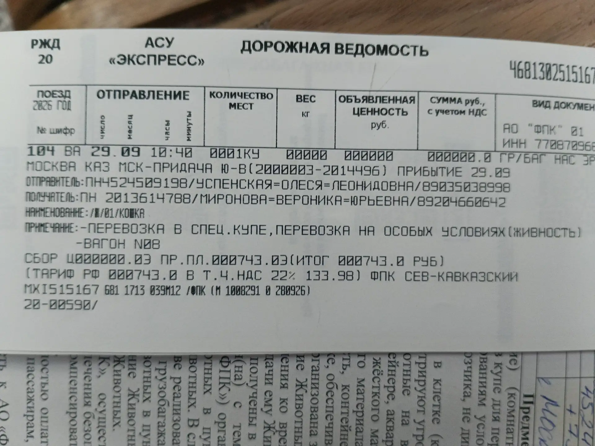 Итак, второй этап транша котиков! 😁
