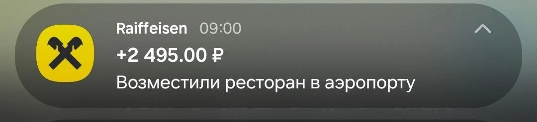 Проверила, вернут ли мне 100% за оплату ресторана, который находится до зоны досмотра в аэропорту. В