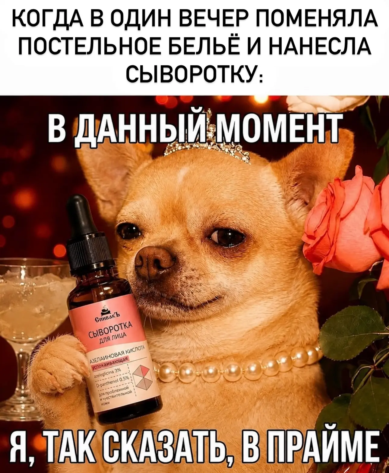 Мы в прайме 😎